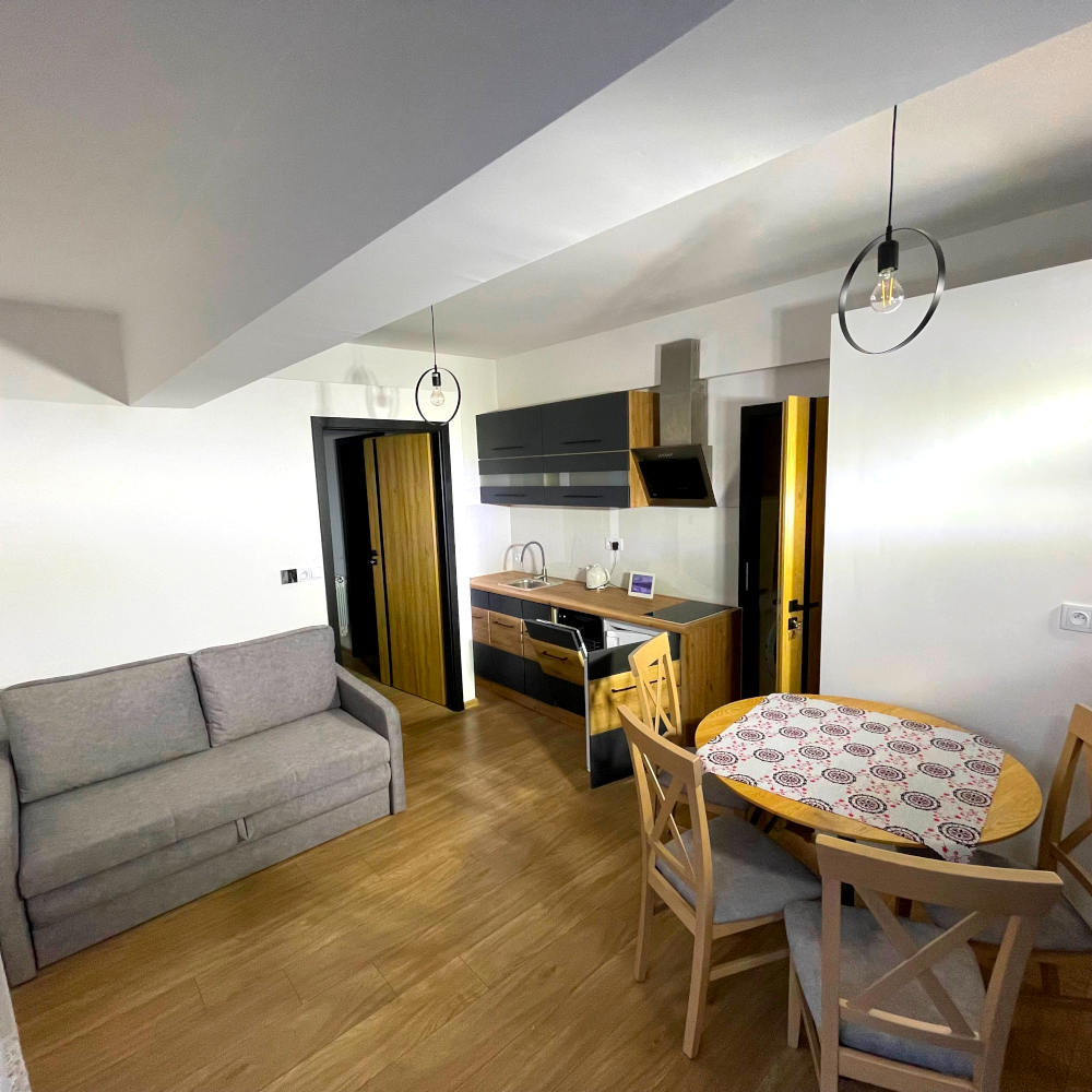 Nowoczesny apartament z aneksem kuchennym